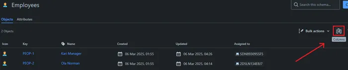 sh_Jira(Atlassian)Allowotherschemastoreferenceobjectsfromaschema_AD_5.webp