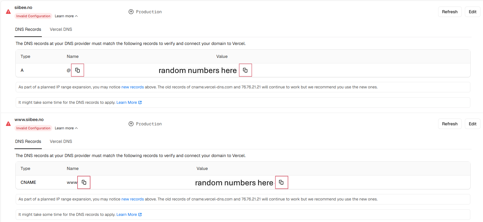 sh_VercelDNSChangeDomainName_EV_8.png